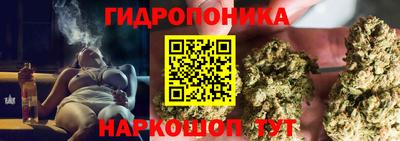 гашик Чапаевск